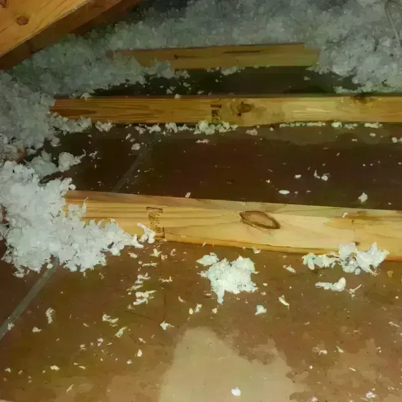 Attic Water Damage in Red Bank, SC